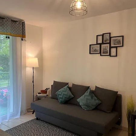 Petit Cocon Cosy Avec Terrasse & Parking Prive Apartman *
